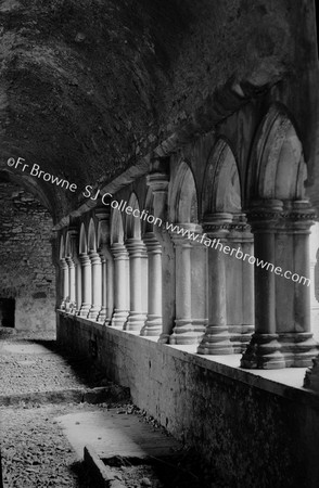 FRIARY IN THE CLOISTERS E.WALL